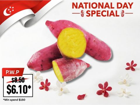 NDP-61-Halal-Sweet-Potato-BBQ-Wholesale-Singapore