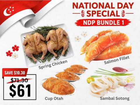 NDP-Bundle-1-BBQ-Wholesale-Singapore